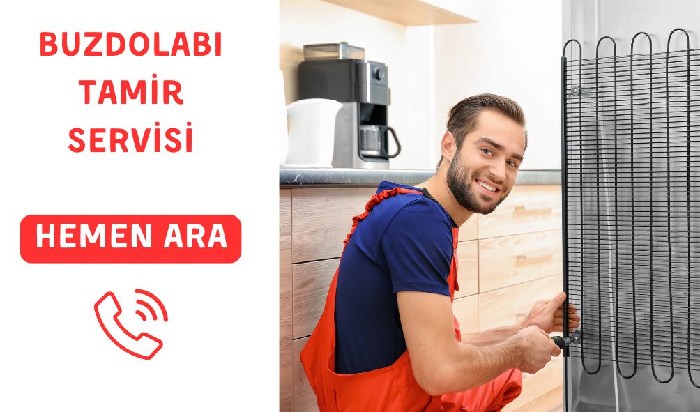 Söke Buzdolabı Teknik Servisi
